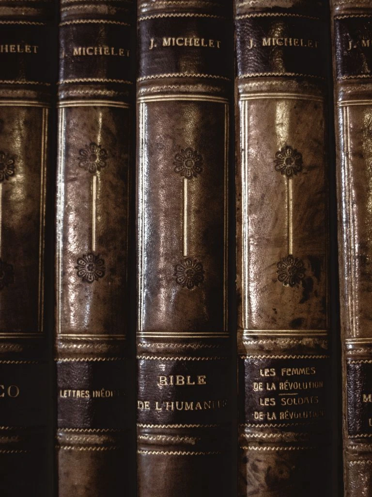 A Field Guide to Getting Lost — open field guide in a forest