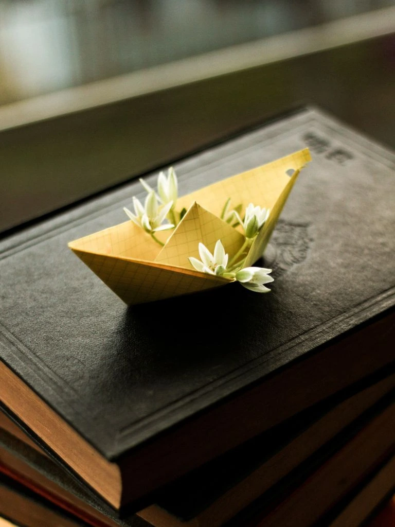 Paper Birds, Burning — paper cranes from a diary at golden hour