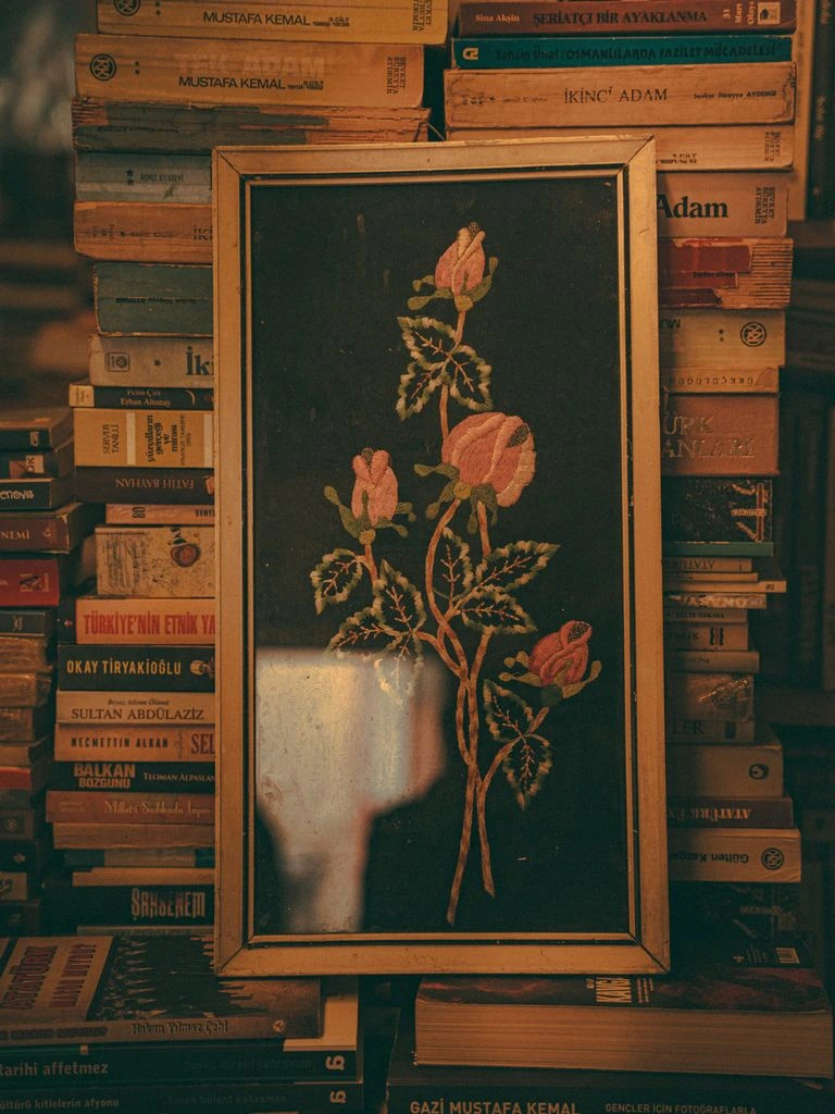 Cover of The Salt of the Marigold, a literary fiction serial.